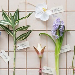 sustainable floristry