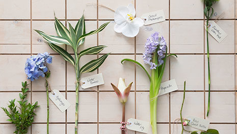 sustainable floristry