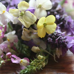 flower therapy flowers