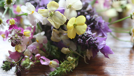 flower therapy flowers