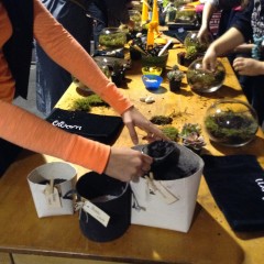 Bloom College Terrarium workshop Christmas