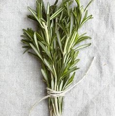http://pinterest.com/pin/557320522608035123/