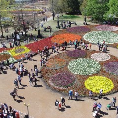 Floriade 2013 Bloom College