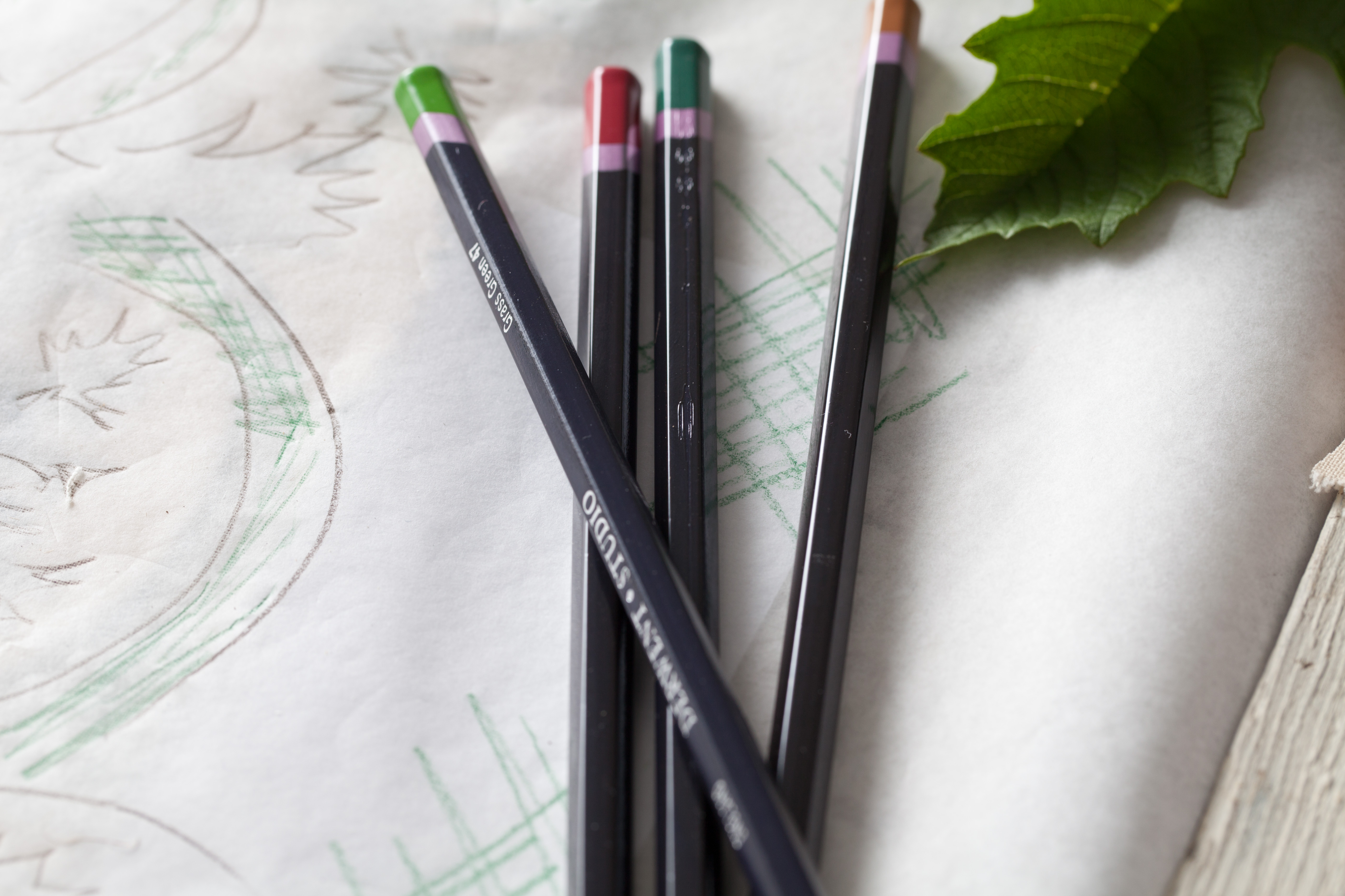 Line element of floral design