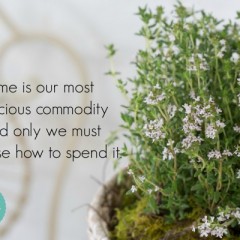flower therapy