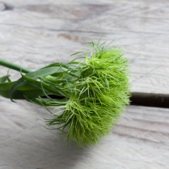design element shape floristry