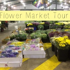 Bloom College flower market tours