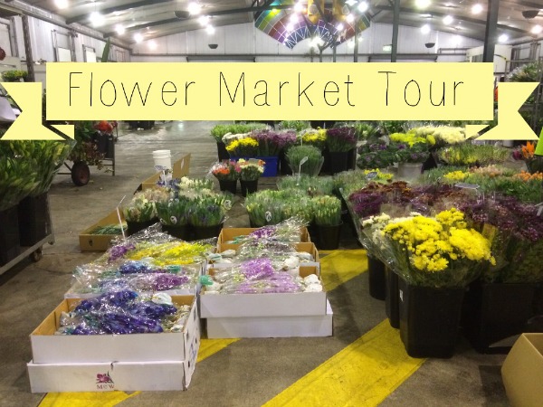 Bloom College flower market tours