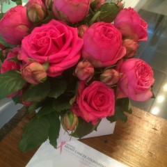 pink roses for breast cancer research