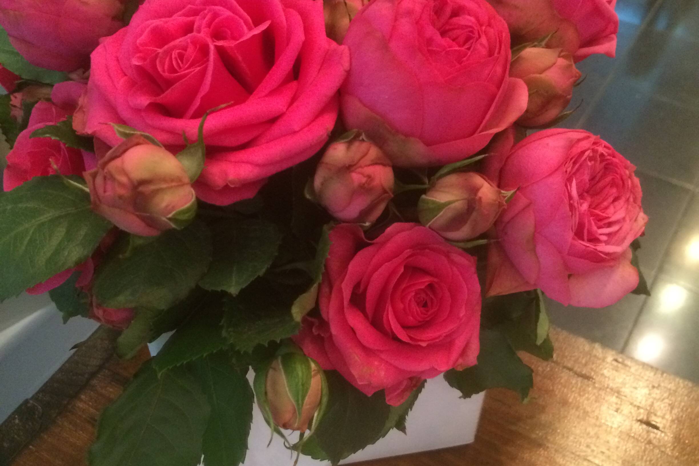 pink roses for breast cancer research