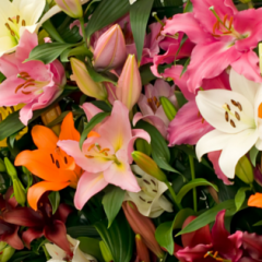 flower design school