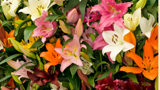 flower design school