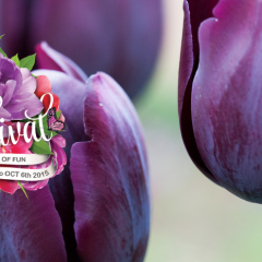 florist
