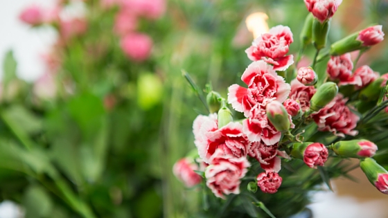 flower course