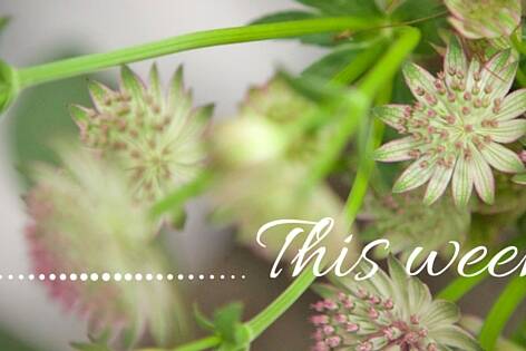 floristry course