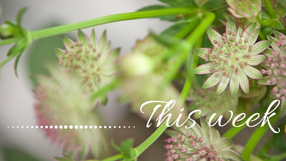 floristry course