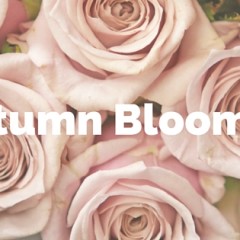 flower school melbourne