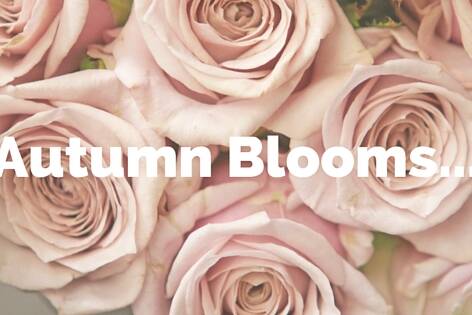 flower school melbourne