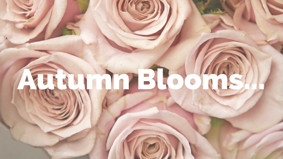 flower school melbourne