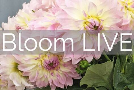 flower school melbourne geelong