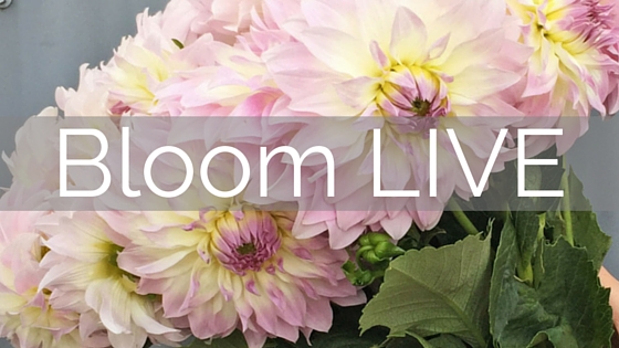 flower school melbourne geelong