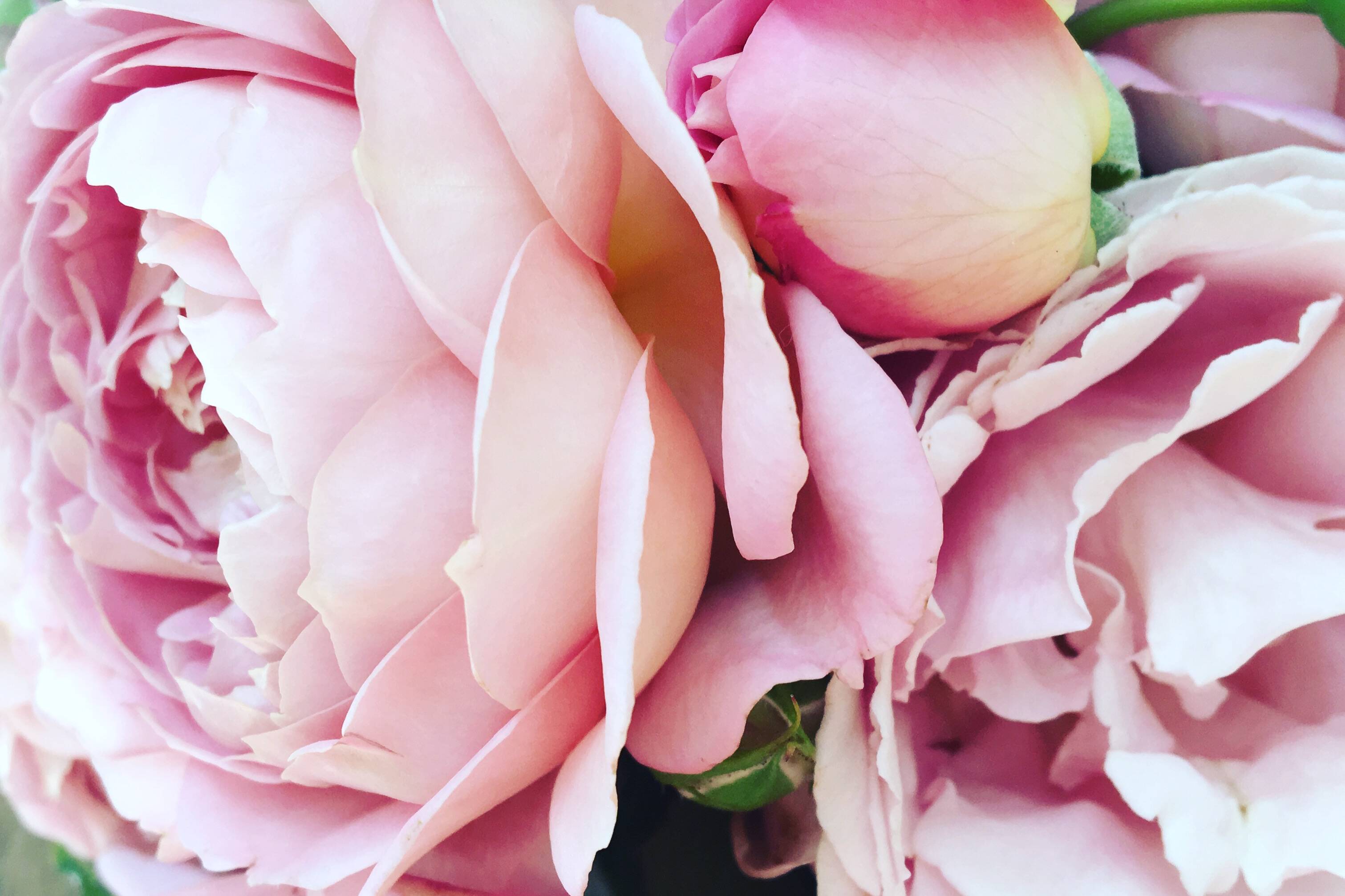 flowers for mental health