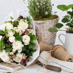 mothers day