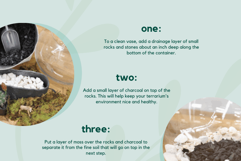 How to make a terrarium