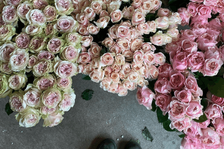a florist