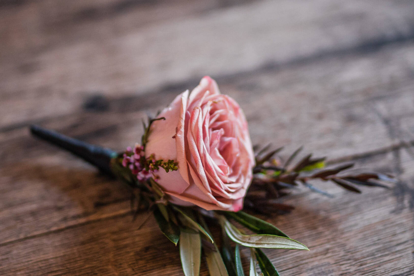 Rose boutonnière