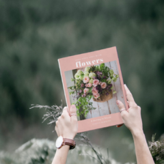 bloom blog