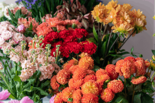 colourful flowers in a florist's store